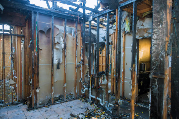 Professional Fire Damage Repair technician working in Jasper, GA